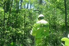 Ruta L30M Constitución imagen 2